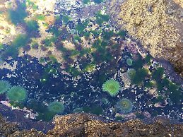 Baja Off the Grid, Luxury Nature Glamping Retreat