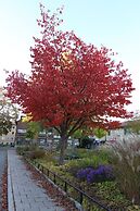 The Sundeck-a romantic apt in Tallkrogen
