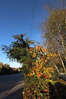 The Sundeck-a romantic apt in Tallkrogen