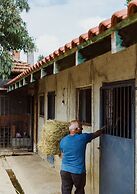 Blerina's Village Project