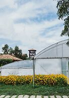 Blerina's Village Project