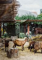 Blerina's Village Project