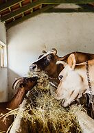 Blerina's Village Project