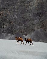 The Grand Ghazi Clover Camp