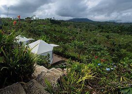 Alam Kita Glamping & Plantation