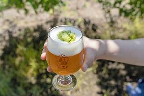 Ichiraku tendo spa & brewery