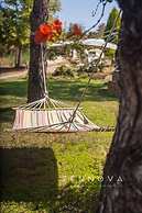 Zennova 20 Dream Nest Studio