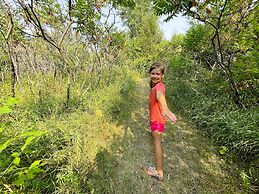 Swan Lake Resort & Campground