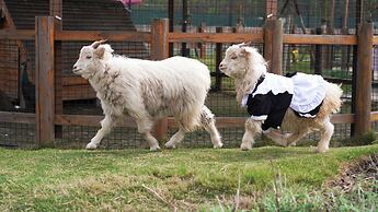 Angsana Chengdu Wenjiang