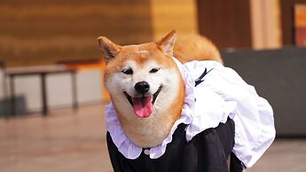 Angsana Chengdu Wenjiang