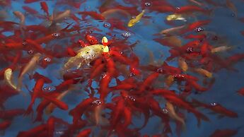 Angsana Chengdu Wenjiang