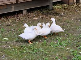 Angsana Chengdu Wenjiang