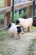 Angsana Chengdu Wenjiang