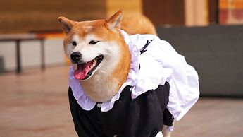 Angsana Chengdu Wenjiang