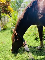 The Kingslayer Resort