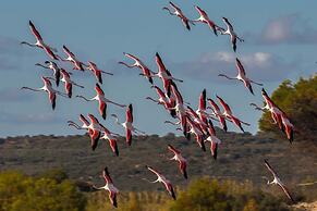 3179 Residence La Scogliera - Bilocale by Barbarhouse