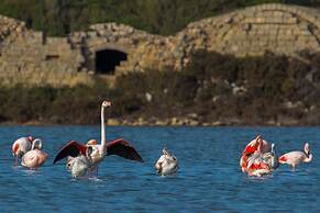 3179 Residence La Scogliera - Bilocale by Barbarhouse