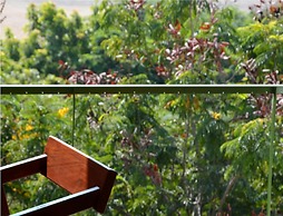 The Sky Imperial Aarivaa Luxury Homestay