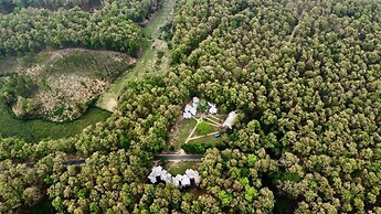 BonoRani Forest Resort