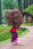 Binsar Eco Resort, Binsar - Uttarakhand