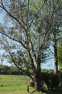 Le Manoir de Kérofil