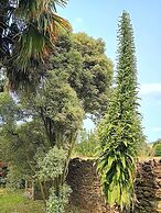 Le Manoir de Kérofil