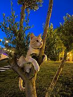 Olivia's Hill Resort