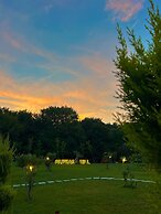 Olivia's Hill Resort