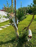 Olivia's Hill Resort