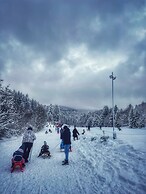 Ohana Boutique Hotel