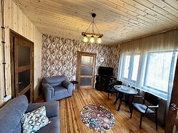 Wooden nice house
