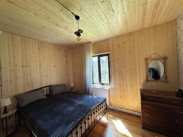Wooden nice house