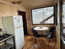 Wooden nice house