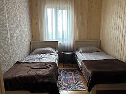 Wooden nice house