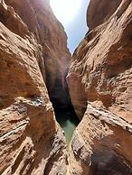 Glamping at wadi rum under the sun