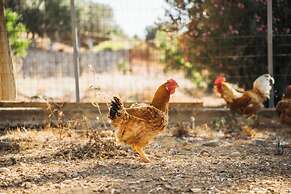 Terra Cassa Private Villa