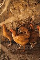 Terra Cassa Private Villa