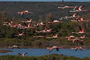 3178 Residence La Scogliera - Monolocale by Barbarhouse