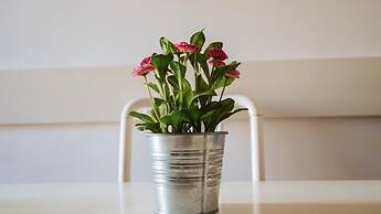 Italianway - Sabbia di Mare