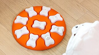 Gapyeong Dangdangi Dog Pension Purple