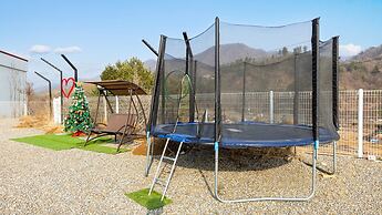 Gapyeong Dangdangi Dog Pension Purple