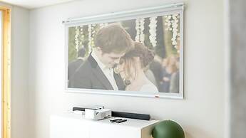 Gapyeong Dangdangi Dog Pension Purple