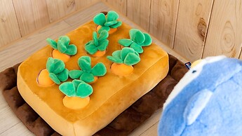 Gapyeong Dangdangi Dog Pension Purple