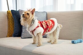 Hyatt Centric Gaoxin Xi'an