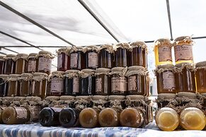 Ten Mallorca - Adults Only