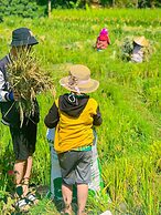 Pu Luong Jungle Lodge