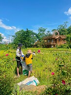 Pu Luong Jungle Lodge