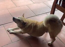 Pu Luong Jungle Lodge