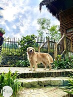 Pu Luong Jungle Lodge