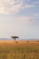 JW Marriott Masai Mara Lodge